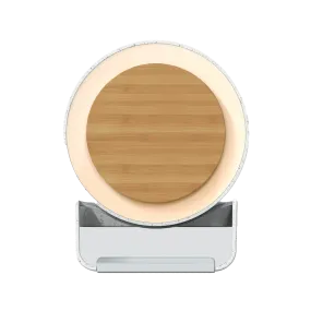 Pandora Speaker Qi Charger