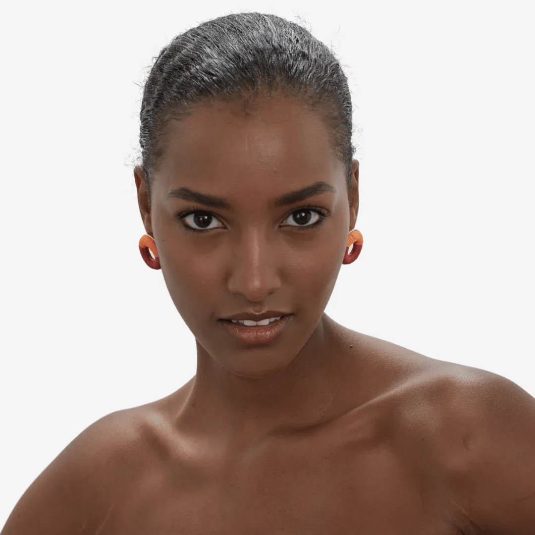 Pantone earrings